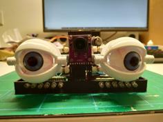 Motion Follow Animatronics Eyes 3D Printer Model