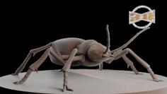 Bombardier Beetle 3D Printer Model