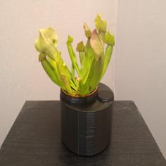 Self-Watering Planter (for Carnivorous Plants) 3D Printer Model