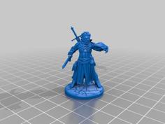 Shifter Blood Hunter, Ranger, Fighter 3D Printer Model