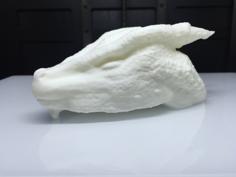 Dragon Head | Cabeça De Um Dragão 3D Printer Model