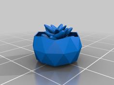 Potted Succulent 3D Printer Model