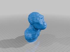 Australopithecus 3D Printer Model