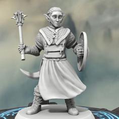 Drow Cleric 3D Printer Model