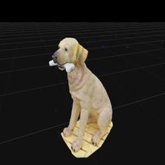 Dog – Photogrammetry 3D Printer Model