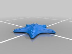 Interior OBJ Starfish 3D Printer Model