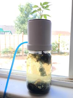 Aquaponics Topper (Widemouth Mason Jar) V9 3D Printer Model