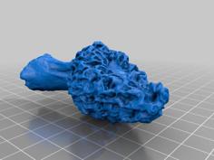 Morel 2 3D Printer Model