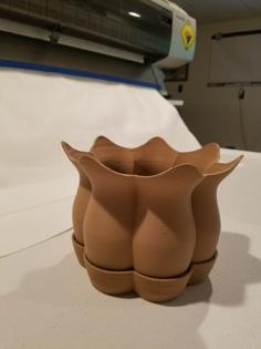 Lofted Pot And Saucer 3D Printer Model