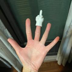 Middle Finger Finger 3D Printer Model