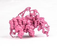 Zinc Finger PDB 1ZAA 3D Printer Model