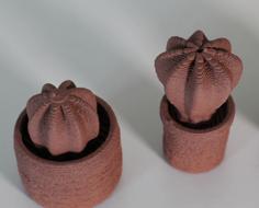 Clay Cactus Mix 3D Printer Model