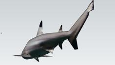 Shark 3D Printer Model