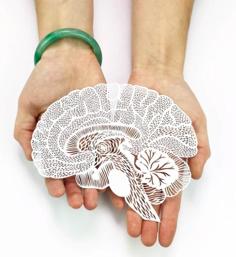 Anatomical Brain Laser-Cut Papercutting Artwork