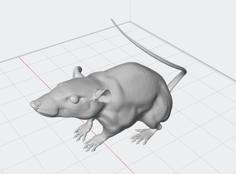 Rat Remix Without Whiskers 3D Printer Model