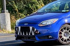 Ford Focus ST Halloween Fangs For Upper Grille 3D Printer Model