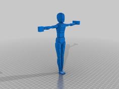 Payton- Liana-week4 3D Printer Model