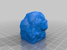 Dwayne The Rock “The Rock” Johnson 3D Printer Model