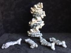 Modular DNA Base Pair Surfaces 3D Printer Model