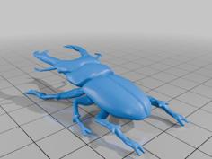 Tiny Stag Beetle With Base 3D Printer Model