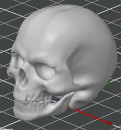 Halloween Skull 3D Printer Model