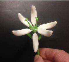 Flower 3D Printer Model