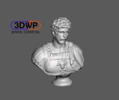 Roman Bust 3D Scan 3D Printer Model