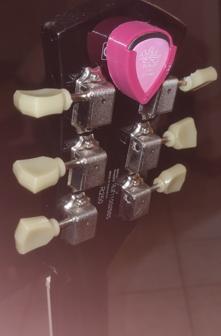 Guitar Pick Dispenser 3D Printer Model