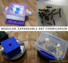 Modular, Expandable Ant Formicarium 3D Printer Model