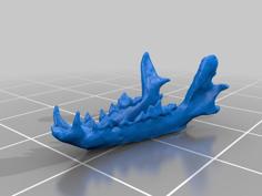 Coyote Skull Lower 3D Printer Model