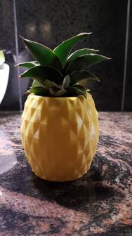 Pineapple Pot 3D Printer Model