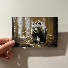 Bear In The Forest – Hueforge Print 3D Printer Model