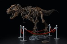 Exhibit Ropes For T-Rex 3D Printer Model