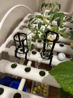 Hydroponic Table Trellis With PVC Clamp 3D Printer Model