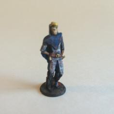 Darvim The Elf Rogue 3D Printer Model