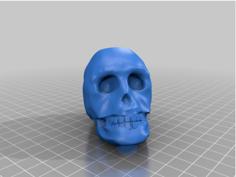 Skull Fridge Magnet With Vertical Magnets 3D Printer Model