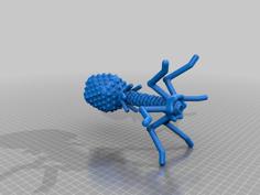 T4 Bacteriophage Virus 3D Printer Model