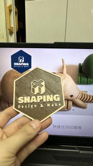 Coaster/ XSHAPING 3D Printer Model