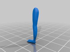 A Leg With A Detailed Foot. 3D Printer Model