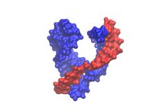 Hammerhead Ribozyme 3D Printer Model