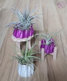 Vases Et Supports Pour Tillandsia. / Vases And Holders For Tillandsia. 3D Printer Model