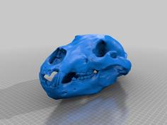 Mammal Skulls Of Montana 3D Printer Model