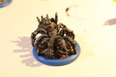 Large Arachnid For Malifaux 3D Printer Model