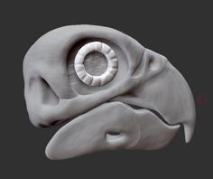 Green Cheek Conure Replica Skull 3D Printer Model