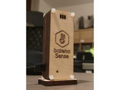 BalenaSense Laser-cut Case