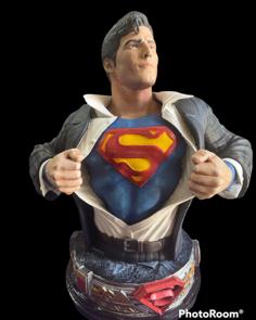 B3DSERK SUPERMAN BUST ESTED AND READY FOR 3D PRINTING 3D Printer Model