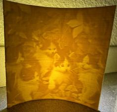 Lithophane Of Forest Kittens 3D Printer Model