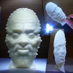 Illusion Face 3D Printer Model