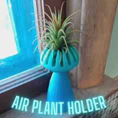 Air Plant Holder 3D Printer Model