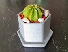 Small Flower Pot With Drip Tray 3D Printer Model